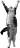 :kitty_alpha: